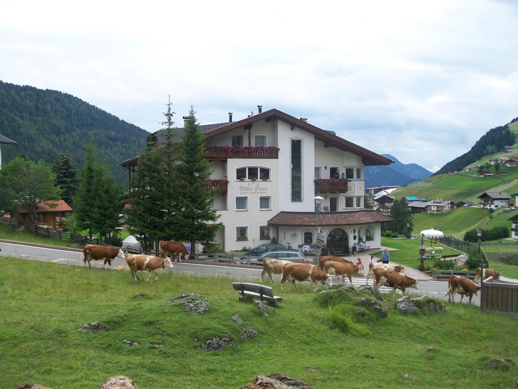 Garni Villa Erna Sëlva Buitenkant foto